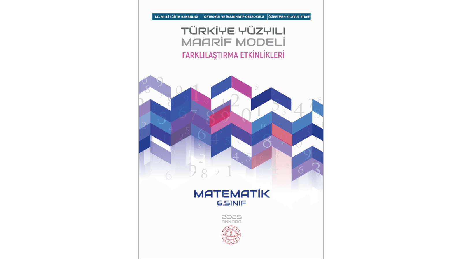 6. Sınıf Matematik Dersi Farklılaştırma Etkinlikleri (Öğretmen Kılavuzu)